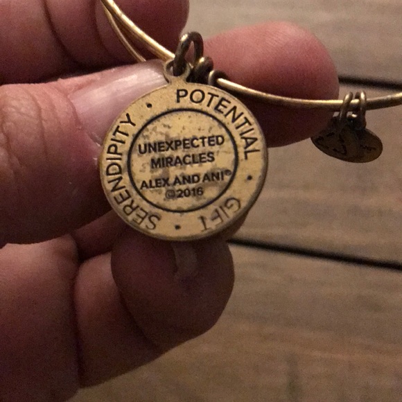 Alex and ani bracelet - Picture 4 of 4